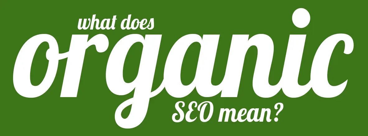What is Organic SEO? 1 what is organic seo
