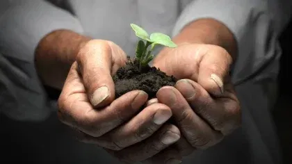 Do you Seed Blogs?