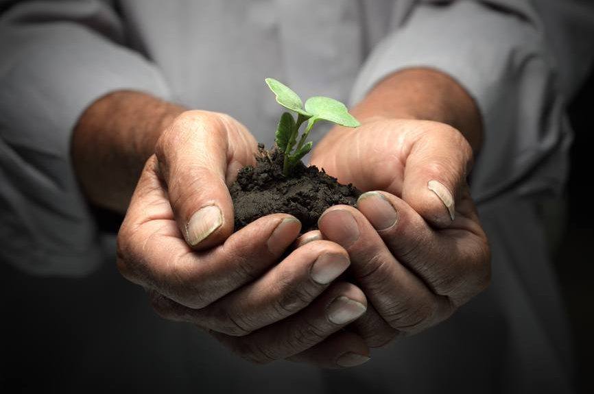 blog seeding