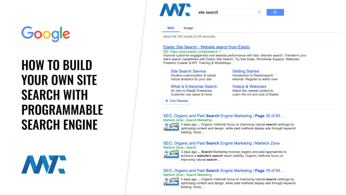 Google Programmable Search Engine