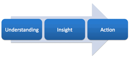 Understanding Insight and Action