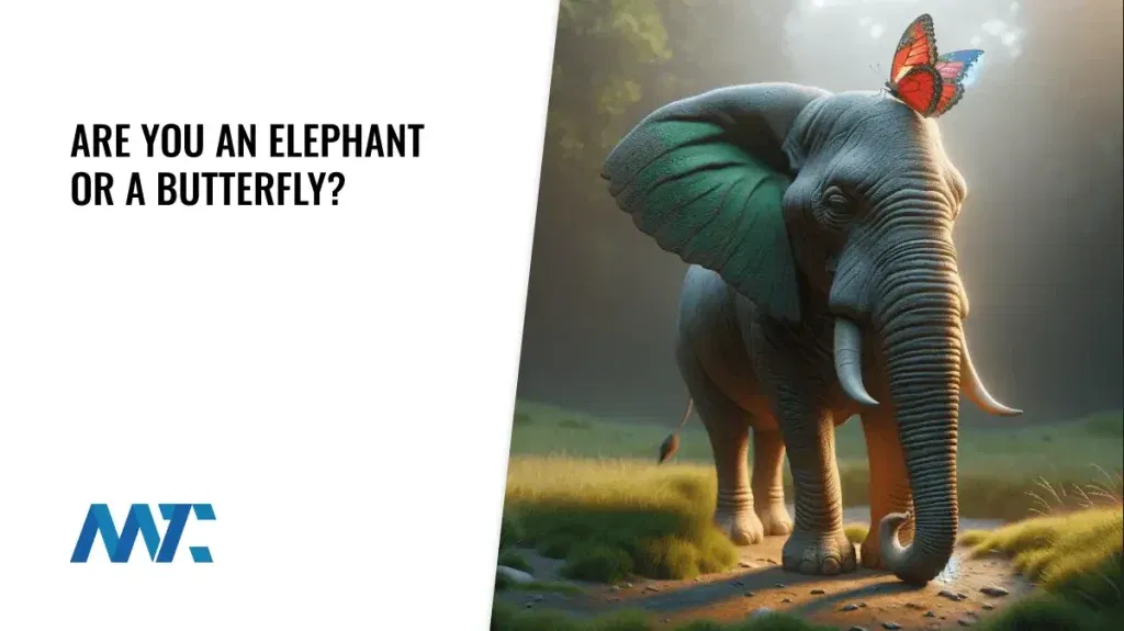 Are you an elephant or butterfly?