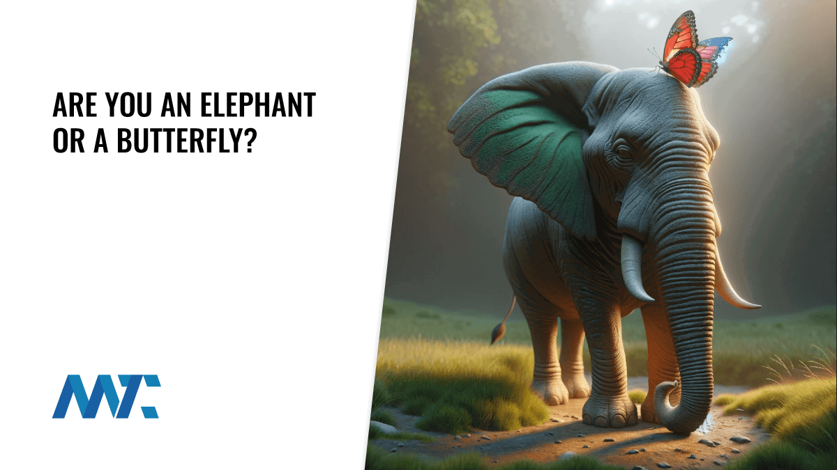 Are You an Elephant or a Butterfly? 1 Are you an elephant or butterfly?