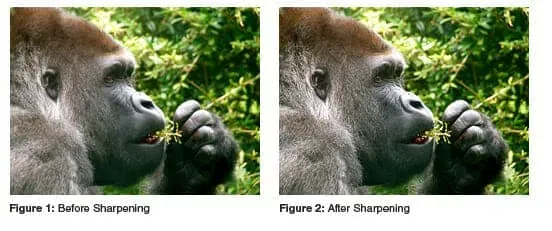 Unsharp Mask filter