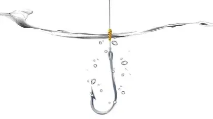 Reward with Autonomy, Mastery and Purpose