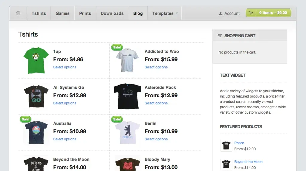 ecommerce wordpress plugin