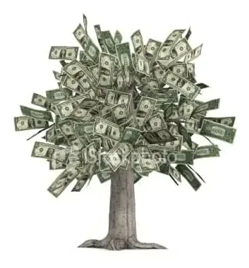 money tree