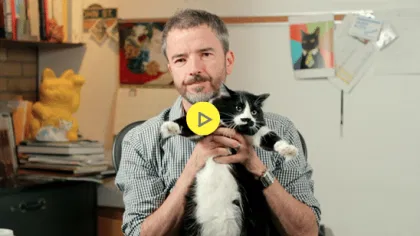 catvertising