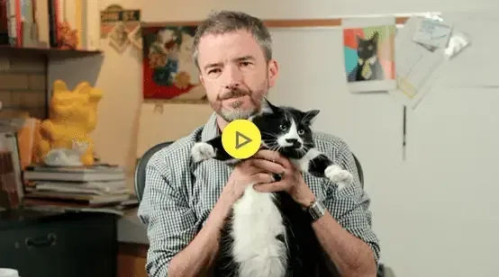 catvertising