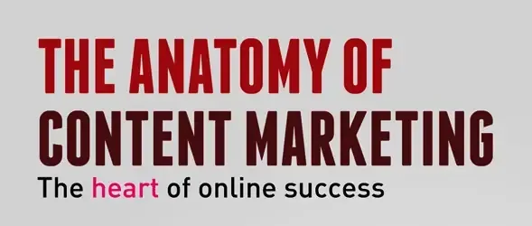 anatomy content marketing