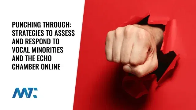 Punching Through Vocal Minorities and Online Echo Chambers