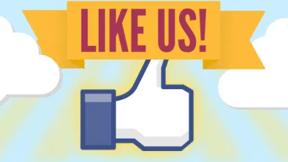 Like Us! A Survey of Users on Brand Engagement