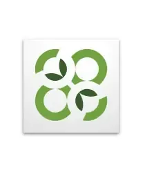 adobe social