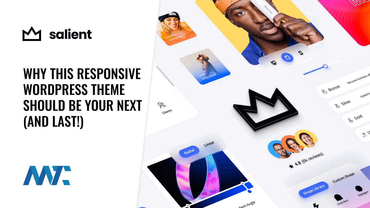 Salient: Why This Responsive WordPress Theme Should Be Your Next (and Last!) 1 Salient Responsive WordPress Theme