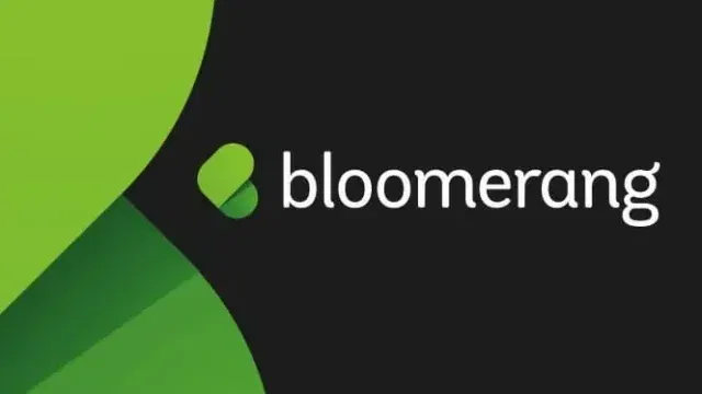 bloomerang