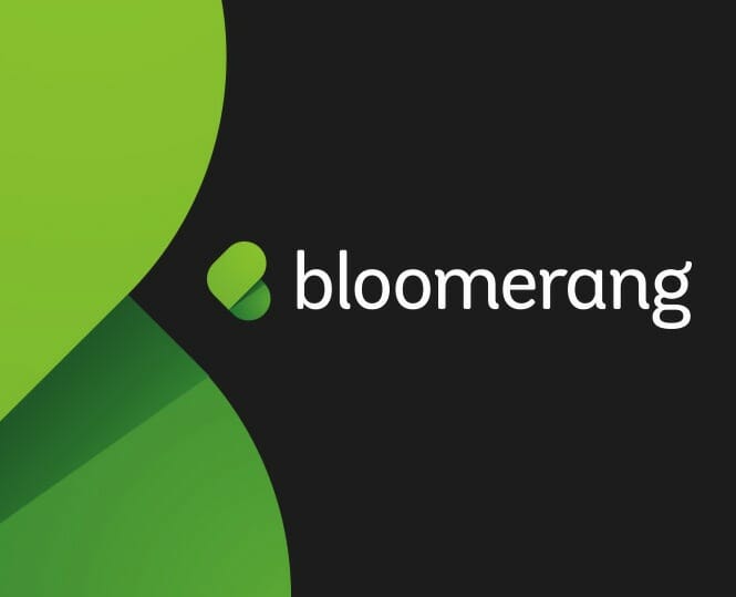 bloomerang