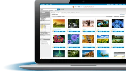 Using Digital Asset Management to Streamline Social Promotion