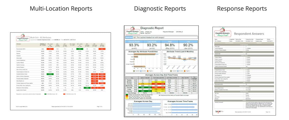 reports 3