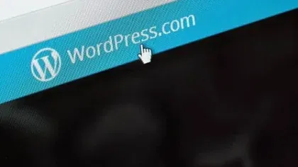 Common Theme Development Mistakes with WordPress