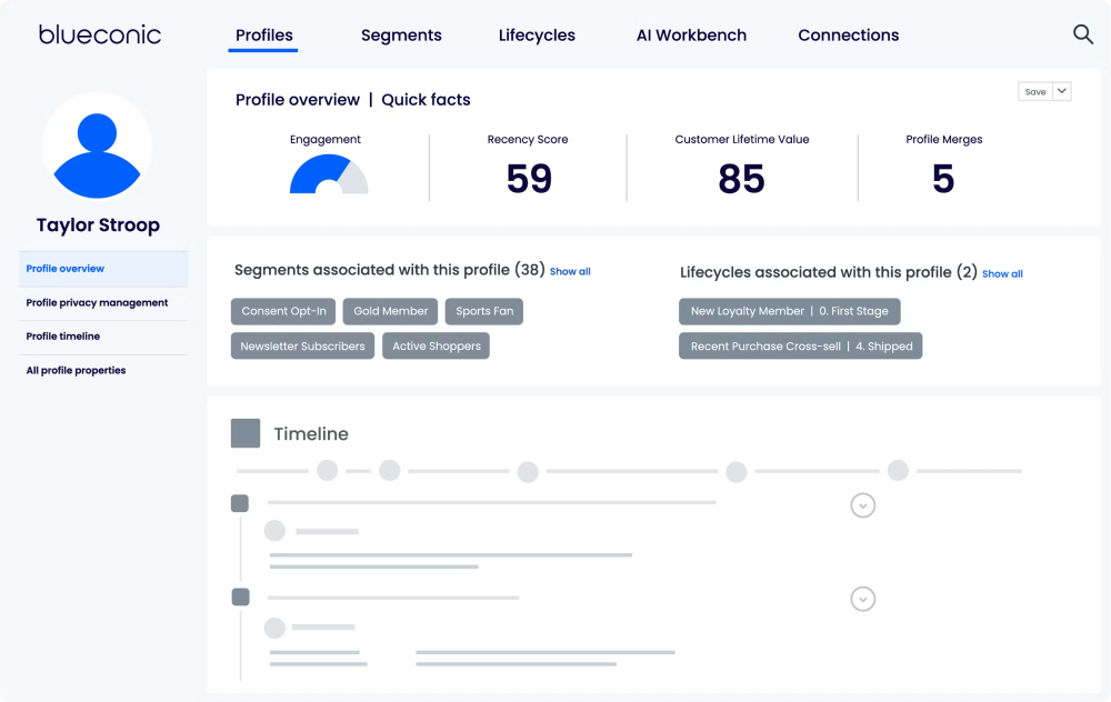 BlueConic Customer Data Operating System