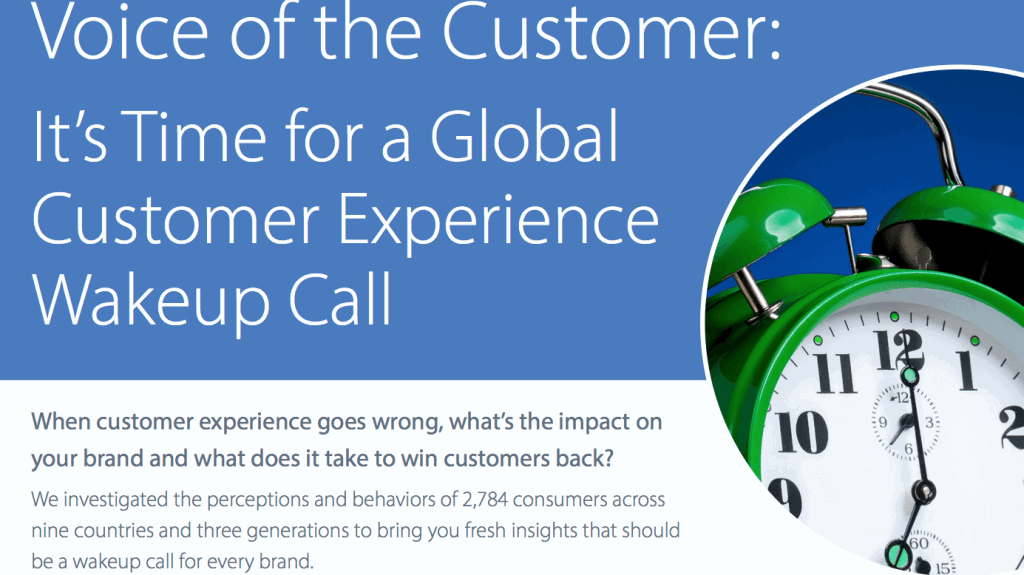 customer experience SDL survey
