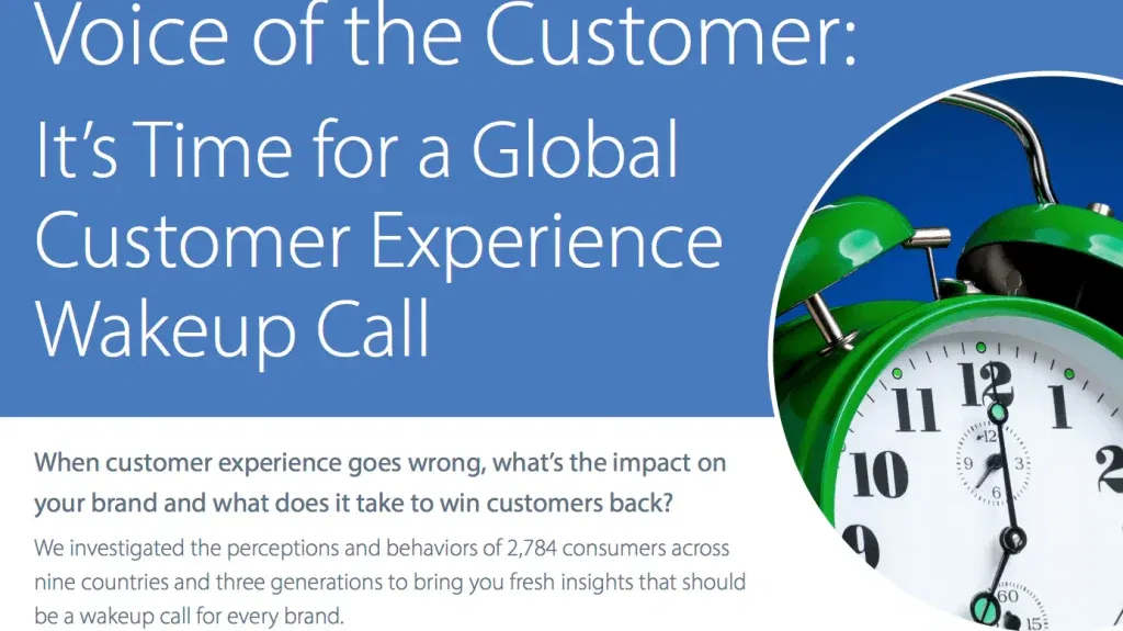 customer experience SDL survey