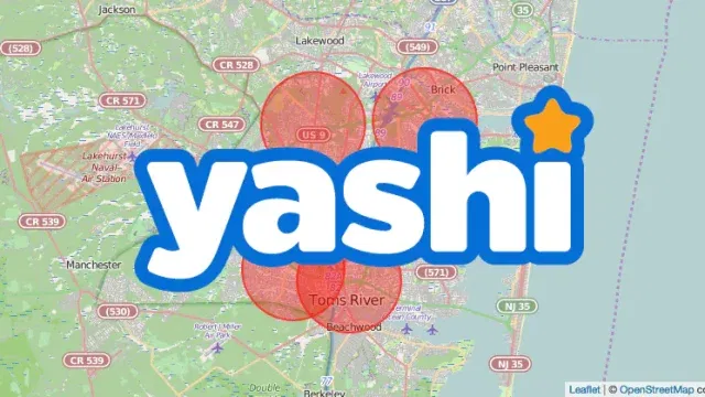 yashi geotargeting1