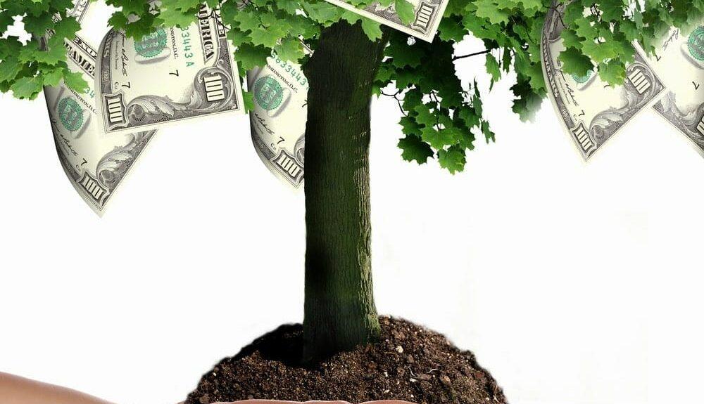 paid vs unpaid content growth