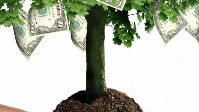 paid vs unpaid content growth
