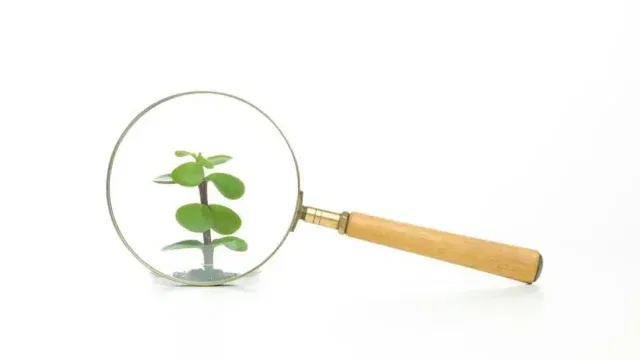 referral analytics growth