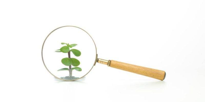 referral analytics growth