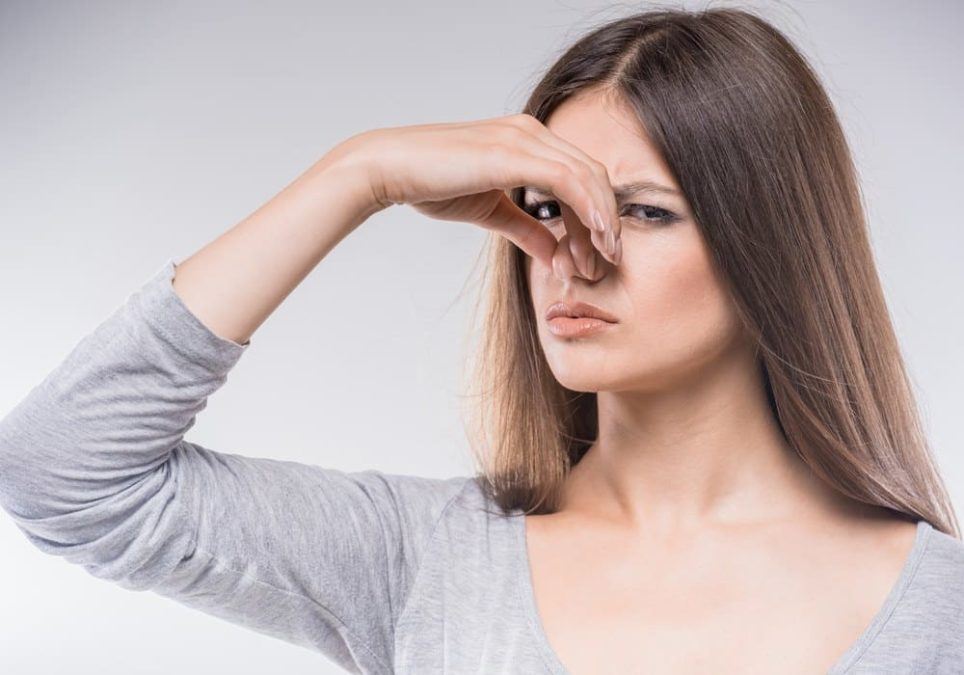 Something Smells with WordPress Plugin Ratings & Reviews 1 smells