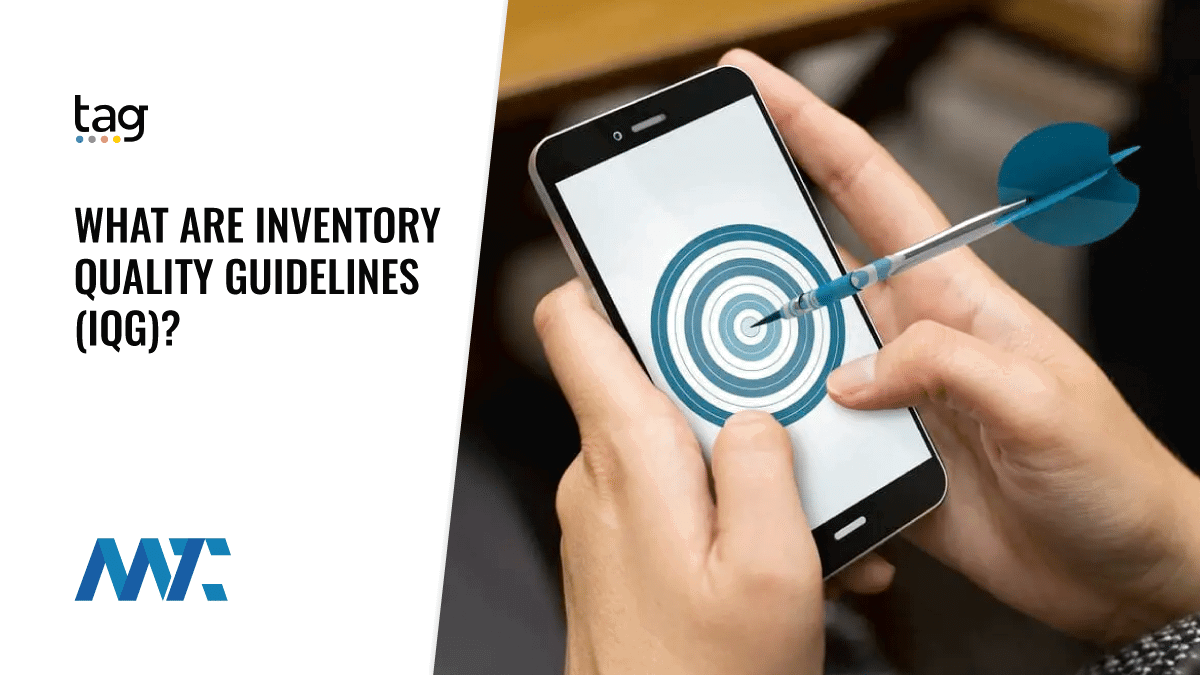 Understanding the Importance of Inventory Quality Guidelines (IQG) 1 What Are TAG Inventory Quality Guidelines (IQG)?