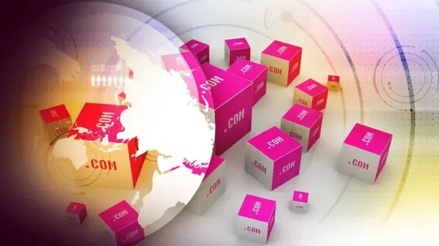 domain management