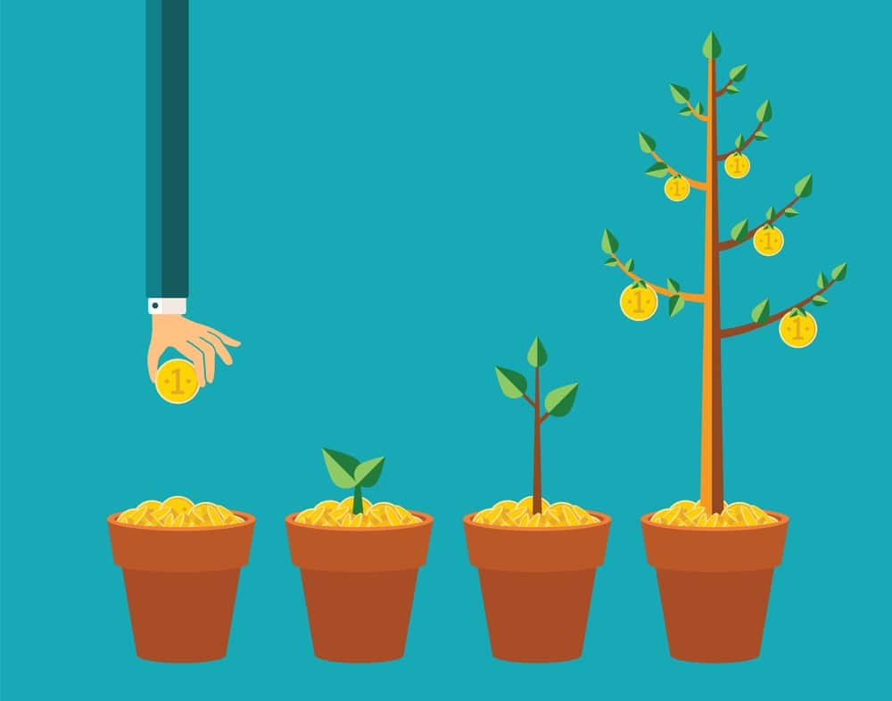 sales growth