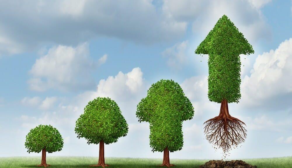 growth strategies