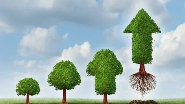 growth strategies