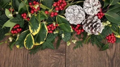 The Do’s and Don’ts of Holiday Branding According to 99designs