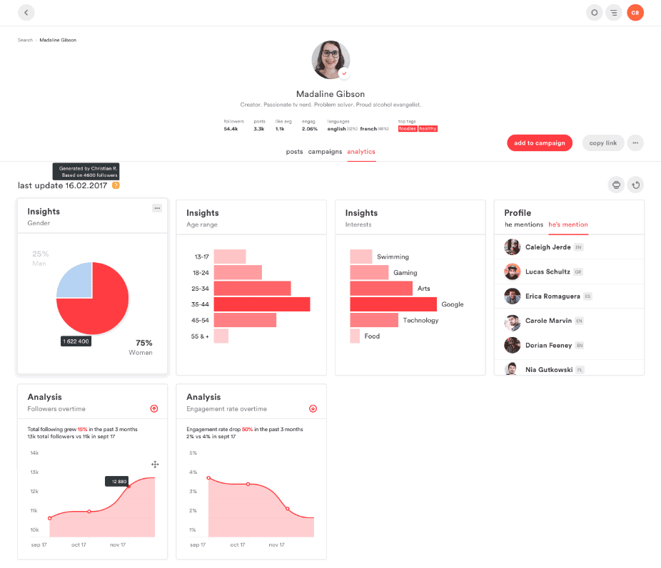Influencer Campaign Results