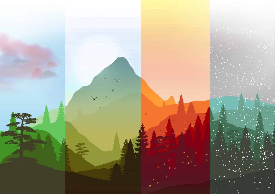 Seasons