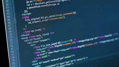 WordPress PHP