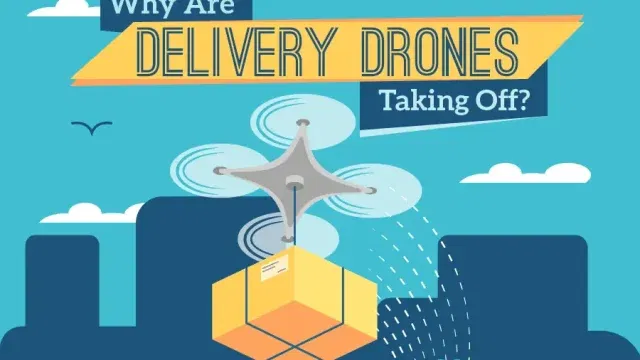 Drone Delivery