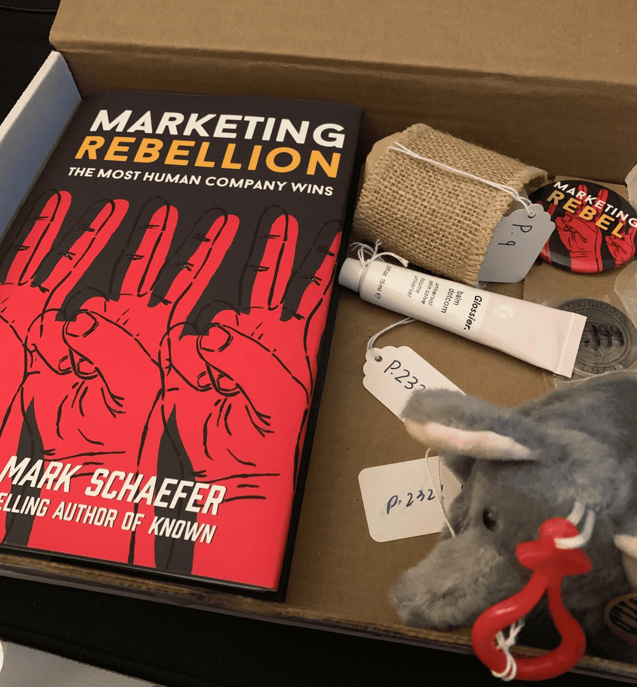 Marketing Rebellion Influencer Kit
