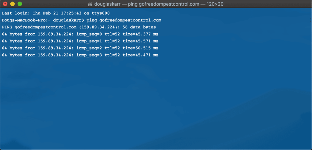 OSX Terminal Ping