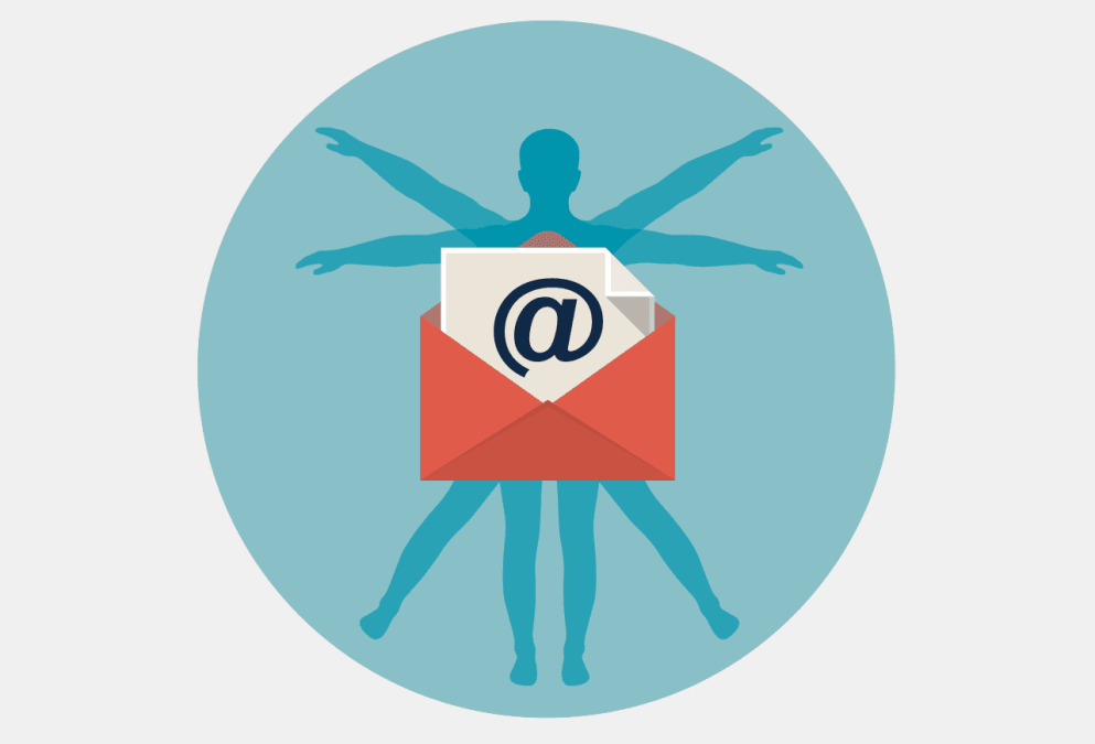 The Anatomy of an Email Newsletter 1 Anatomy of an Email Newsletter