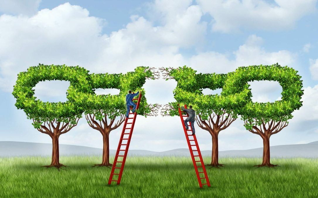 Backlinking Outreach Strategy