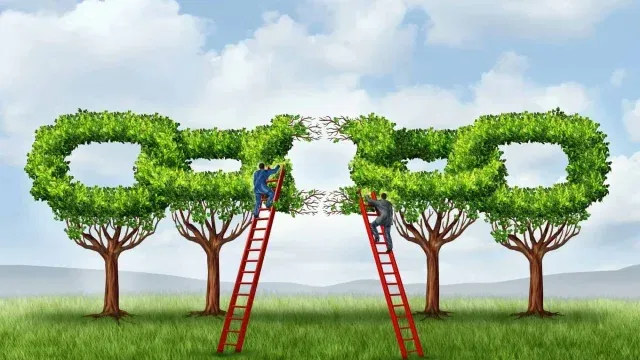 Backlinking Outreach Strategy