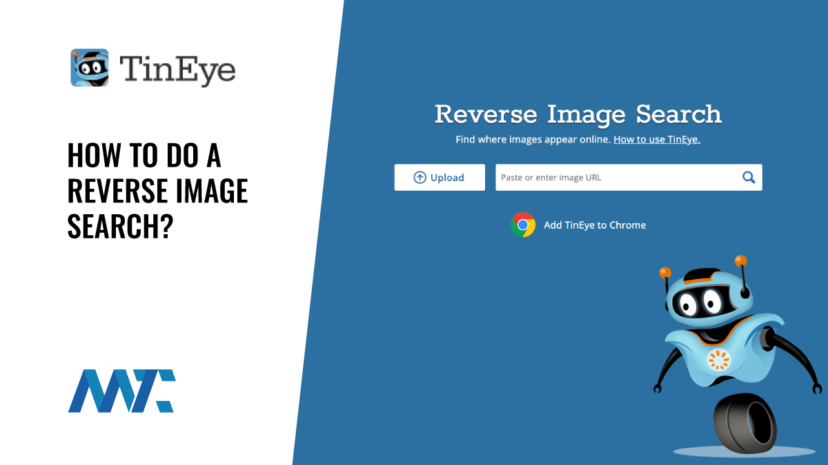 TinEye: Reverse Image Search