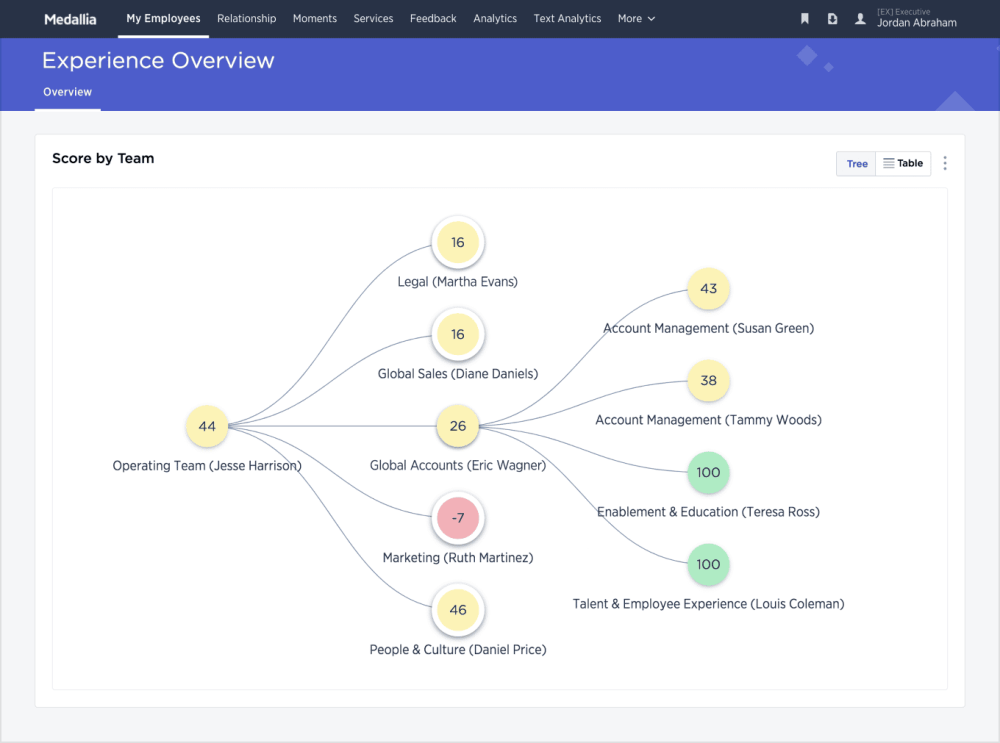 Medallia: Experience Management To Detect, Identify, Predict, and Correct Issues in Your Customers' Experiences 3 Experience Management Organizational Hierarchy