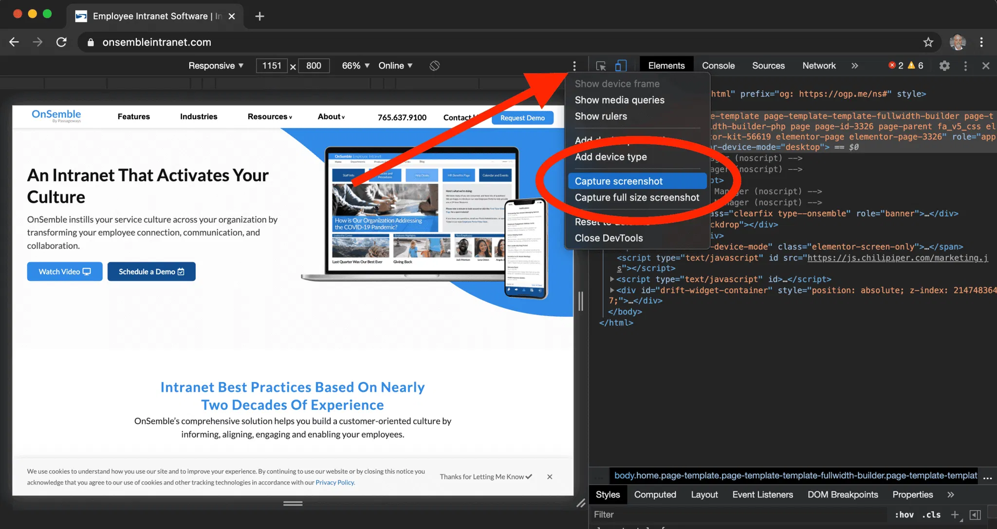 Capture Screenshot with Google Chrome